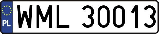 WML30013