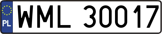 WML30017