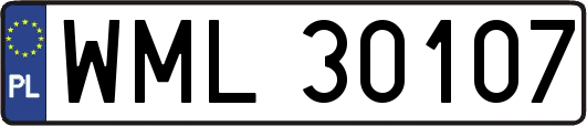 WML30107