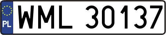 WML30137