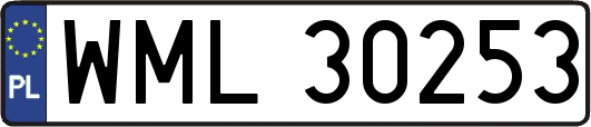 WML30253