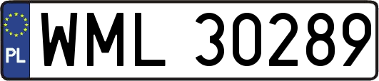 WML30289