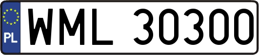 WML30300