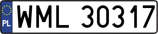 WML30317
