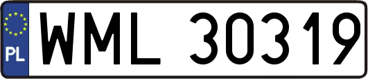 WML30319