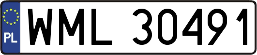 WML30491