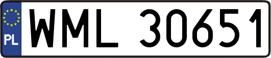 WML30651