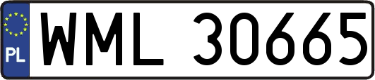 WML30665