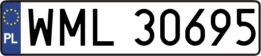 WML30695