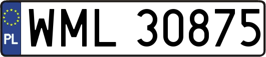 WML30875