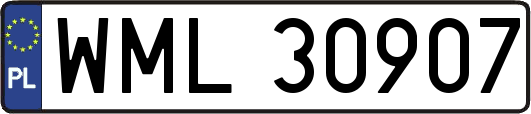 WML30907