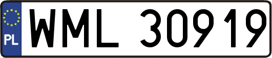 WML30919