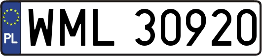 WML30920