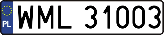 WML31003