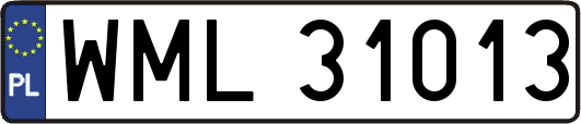 WML31013