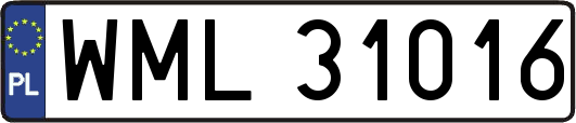 WML31016