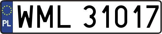 WML31017