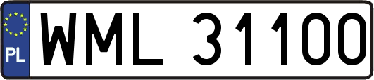 WML31100