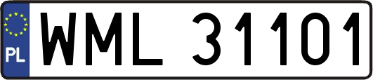 WML31101