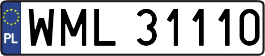 WML31110