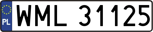 WML31125