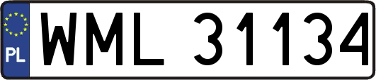 WML31134