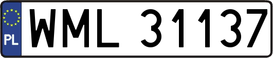 WML31137