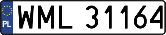 WML31164