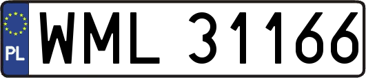 WML31166