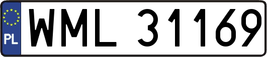 WML31169