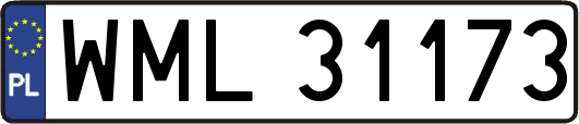 WML31173