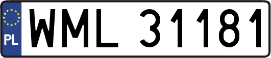 WML31181