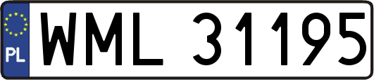 WML31195