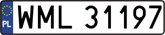 WML31197