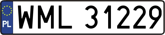 WML31229