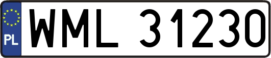 WML31230