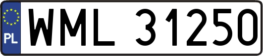WML31250