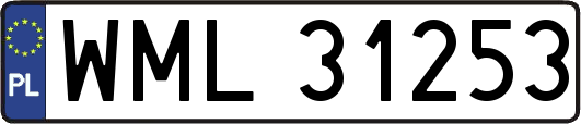 WML31253