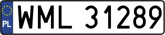 WML31289