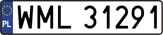 WML31291