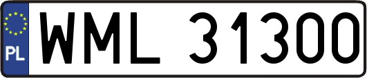 WML31300
