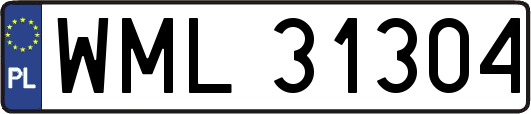 WML31304