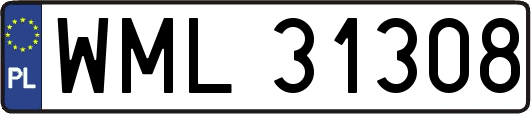 WML31308