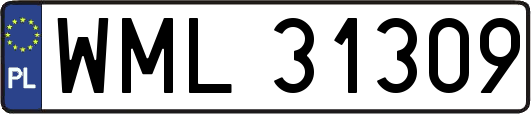 WML31309