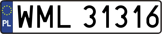 WML31316