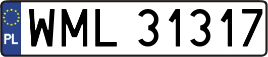 WML31317