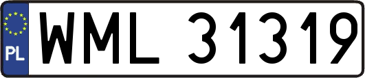 WML31319
