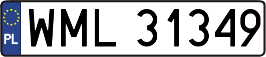WML31349