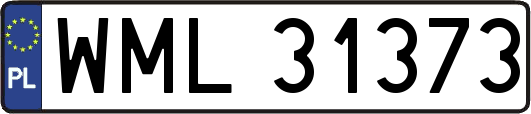 WML31373