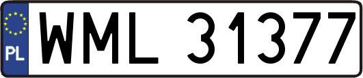WML31377